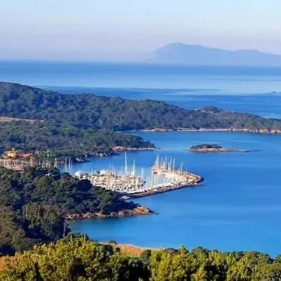 Evasion Ensoleillee Ile De Porquerolles Superbe T3 Appartement