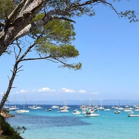 Apartment Evasion Ensoleillee Ile De Porquerolles Superbe T3