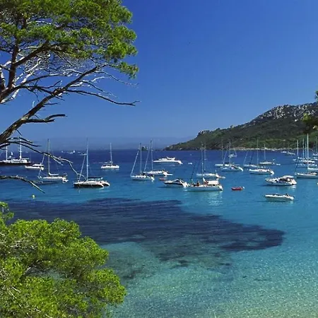 Evasion Ensoleillee Ile De Porquerolles Superbe T3 Apartment Hyeres