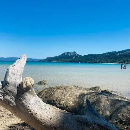 Evasion Ensoleillee Ile De Porquerolles Superbe T3 * Hyeres