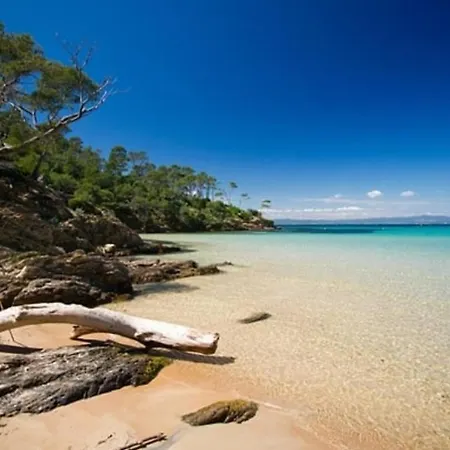 Evasion Ensoleillee Ile De Porquerolles Superbe T3 Apartment